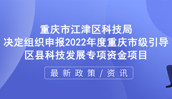 環紐文章封面圖.jpg