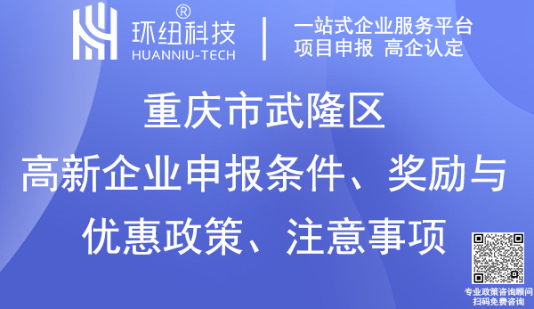 武隆區高新企業申報